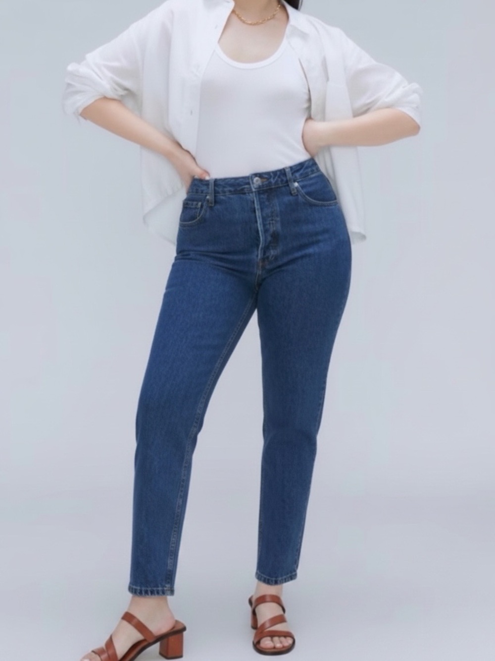 Everlane Curvy Cheeky Jeans 29R Dark Wash High Rise Organic Cotton NWT